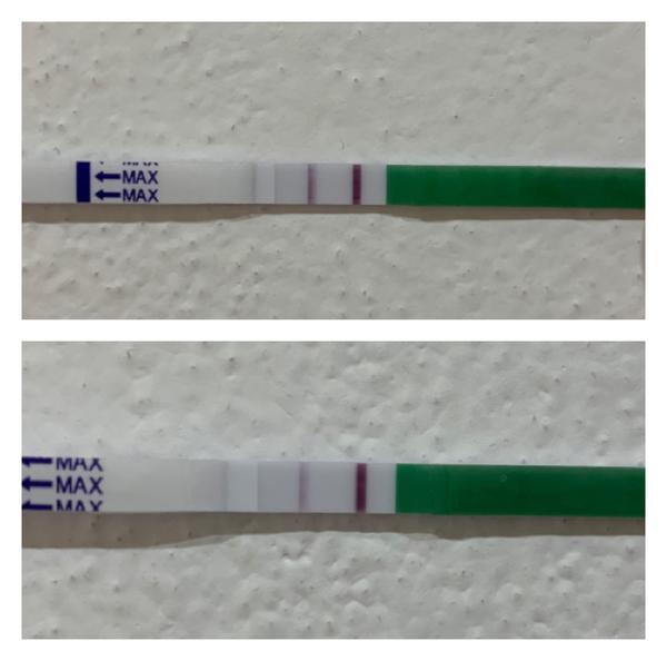 Zkušenost s ovu testy.