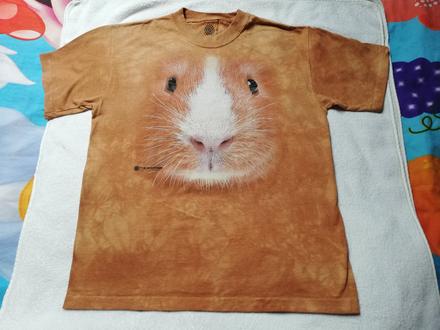 Tričko morče dedoles., m