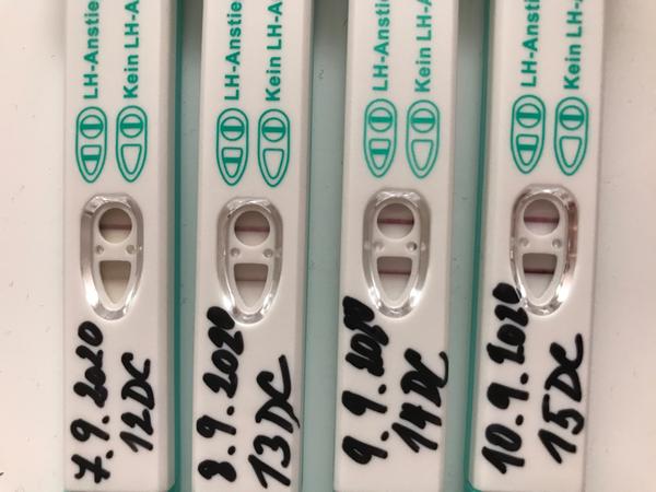 Pozitivní ovulační test? Kdy mít styk, aby se zadařilo?