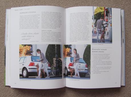 Přirozený výcvik psa - výchova metodou dogwalk. v, 