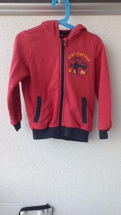 Mikina s autem, lupilu,110