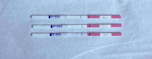 Sílení ovulačního testu před menstruací: Signalizuje těhotenství?