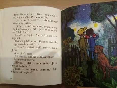 Knížka jak si slávěk načaroval dubového mužíčka, 