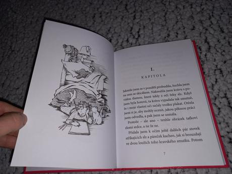 Kniha klementýnka a naprostý blázinec,