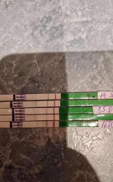 Je test ovulace pozitivní nebo negativní?