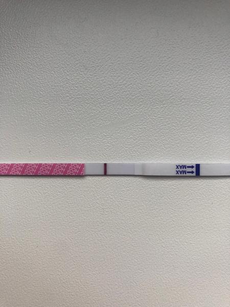 Vidíte ducha na těhotenském testu?