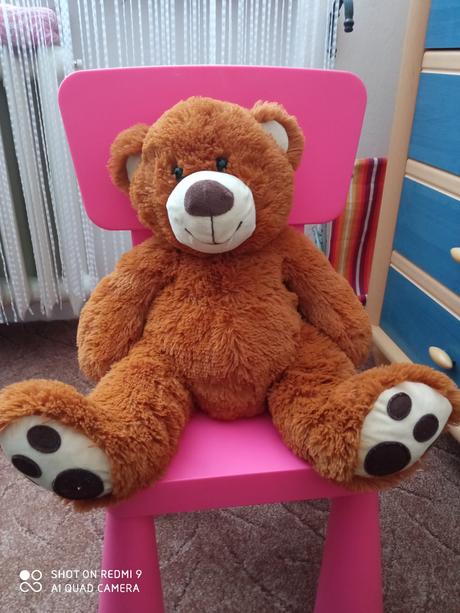 Plyšový medvídek., 