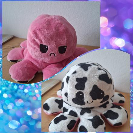 Oboustranná chobotnička, 