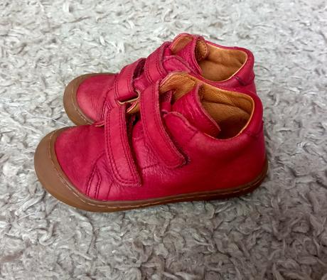 Froddo 23 celoroční, froddo,23