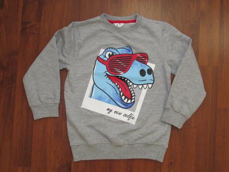 Mikina s dinosaurem, 116