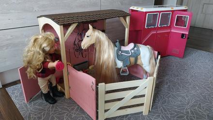 Kůň, stáj, přívěs a jezdkyně, 