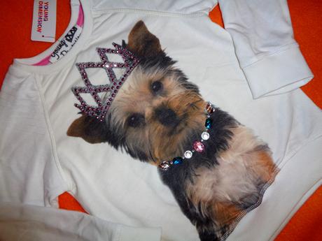 Překrásná mikina s jorkšíří princeznou, young dimension,110 / 116