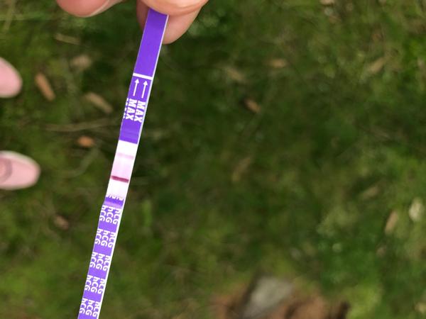 Co myslíte, sílí test?