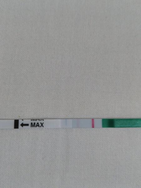 Těhotná - ano nebo ne?