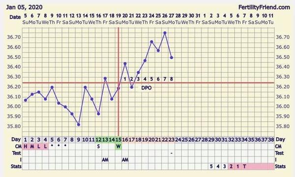 PMS nebo těhotenství?