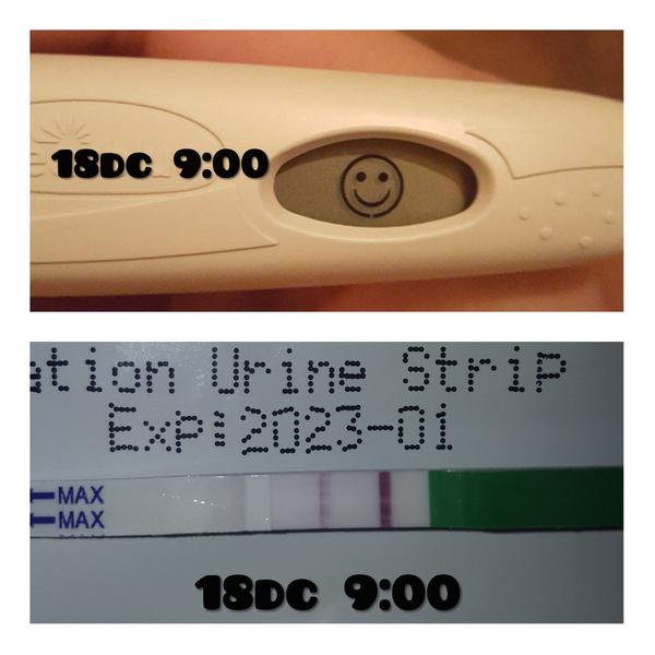 Holky 2krát pozitivní digi ovu test. Proč je papírkový negativní?