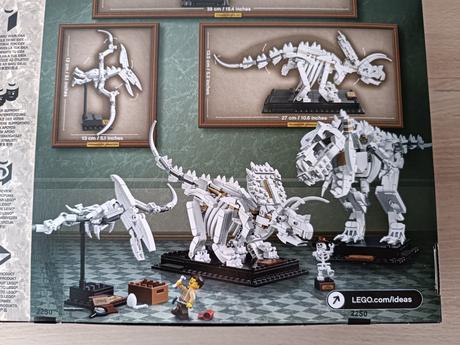 Lego ideas 21320 dinosauří fosilie, 
