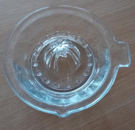 Lis na citrusové plody,