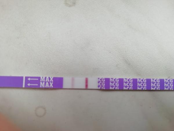 Test. Nemám halucinace, že?