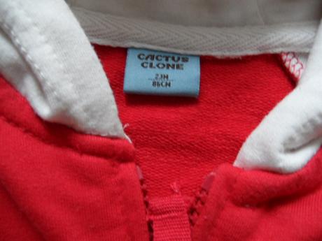 Mikina, cactus clone,86