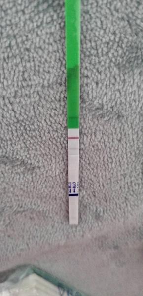 Dorazí ovulace před očekávanou menstruací?