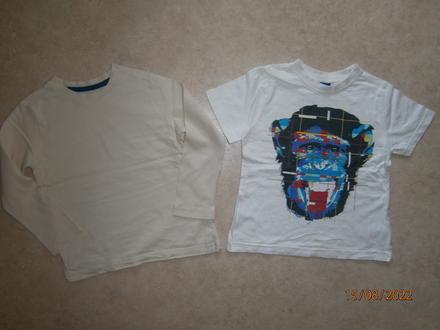 Tričko s dlouhým rukávem + druhé zdarma, f&f,110