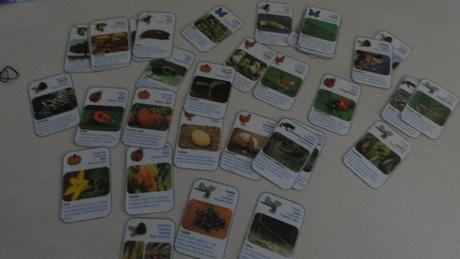 Montessori naučné kartičky, 