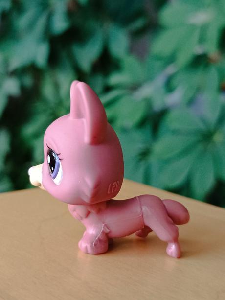 Lps pejsek + pelíšek + deka + kost,