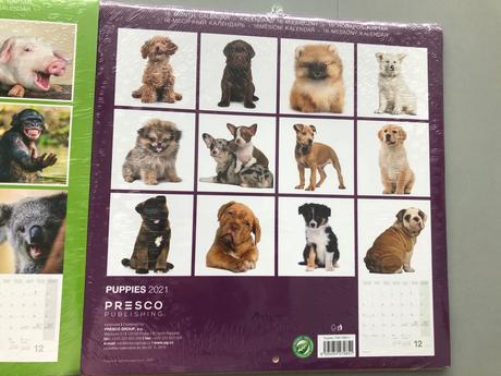 24 x obrázky foto do rámečku zvířata zoo pes barva, 