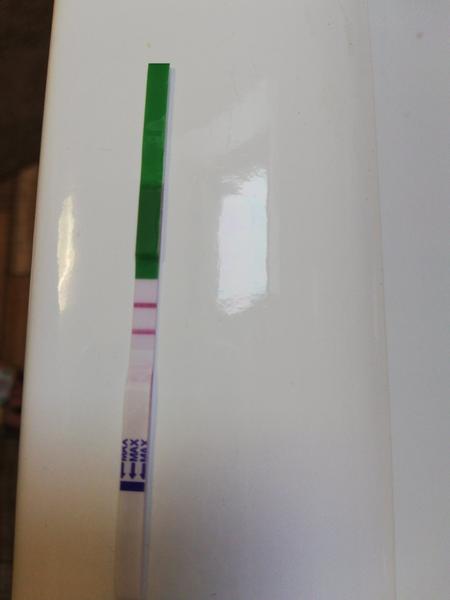 Ovulace? Dnes či počkat do zítřka?