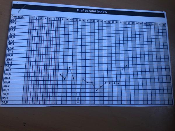 Bazální teplota - je před MS vysoká teplota?