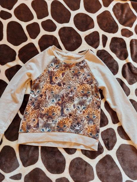 Mikina kočky, h&m,110