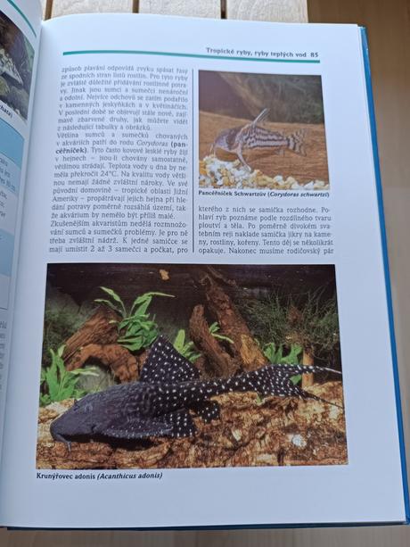 Kniha sladkovodní akvárium - hans j. mayland,