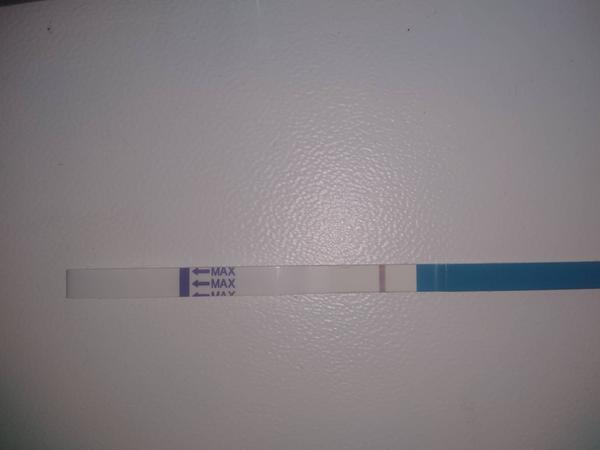 Je těhotenský test negativní? Prosím o radu.