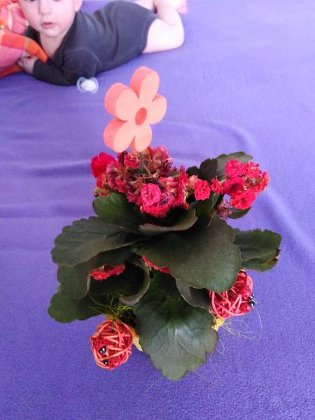 Pomoc s kytičkou. Jak se postarat, aby ještě kvetla?