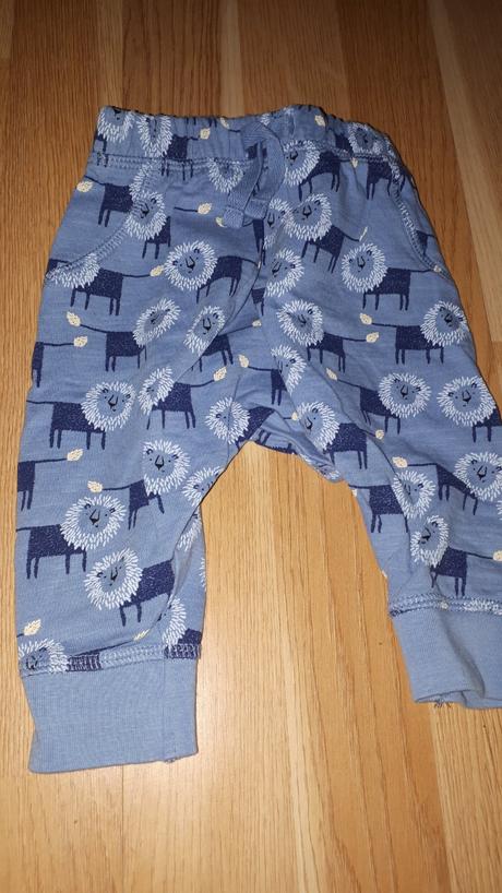 Teplaky se lvi, next,68