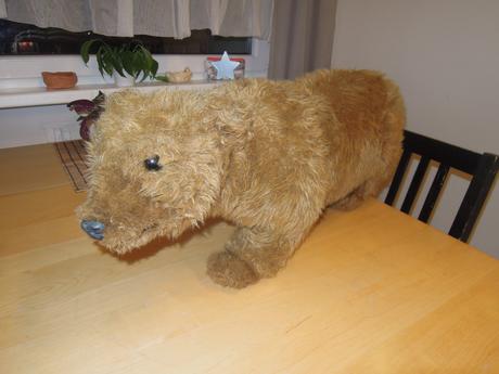 Plyšový medvěd, 