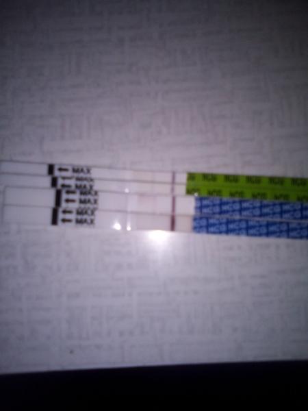 Jsem těhotná? Zjistěte, co si o tom myslí ostatní.