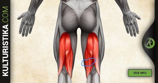 Bulka ve stehnu: Je to nebezpečné?