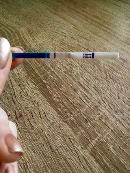 Test. Co si o něm myslíte?