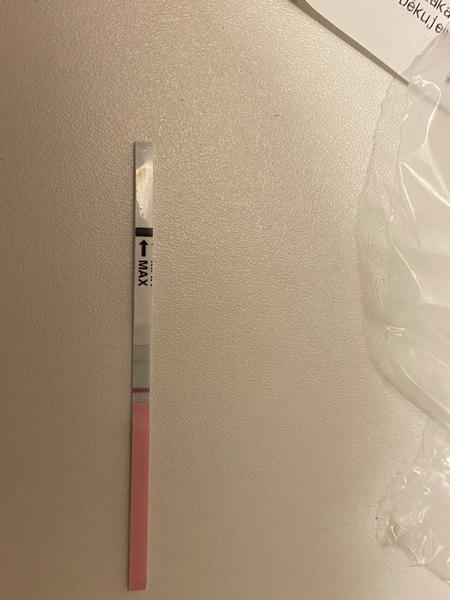 Ovulační test a těhotenství. Ukázal Vám, že jste těhu?