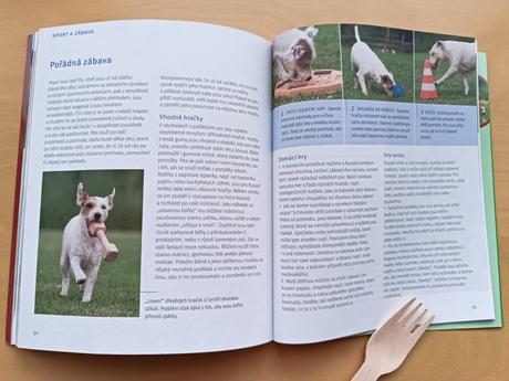 Parson a jack russell terriér - karin wegner, 