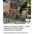 dobry den prosim kdo byl v norimbersk