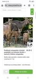 Dobrý  den, prosím  kdo byl v Norimberské zoo? Jak je rodinná  vstupenka, tak tam není počet  dětí.......nebo jak to mám  chápat? 🙈 Díky
