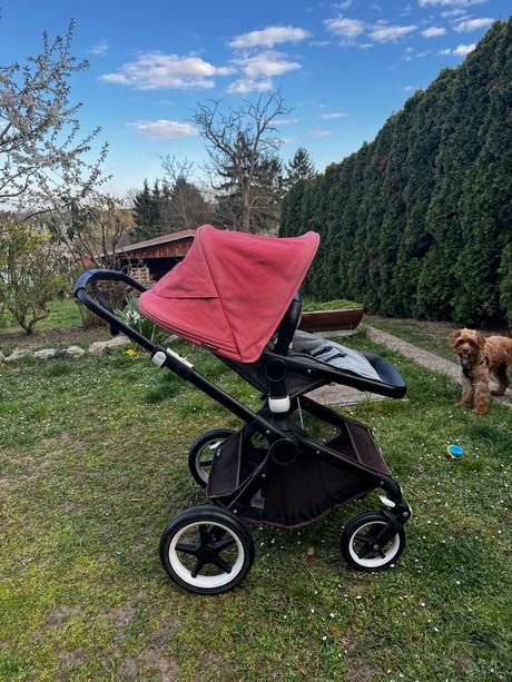 Bugabo fox, bugaboo,bugaboo fox
