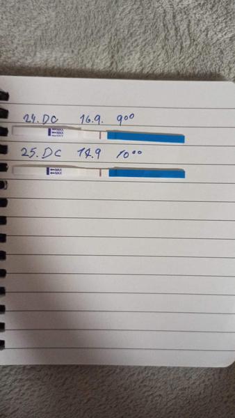 Má smysl zkoušet těhotenské testy již nyní?