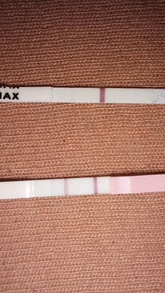 Jaké jsou rozdíly mezi ovulací a těhotenstvím?