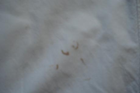 Plátěné tříčtvrtáky, 134