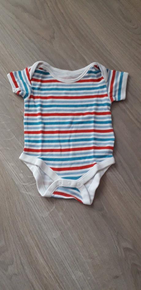 1370 - bodyčko, st. bernard,68