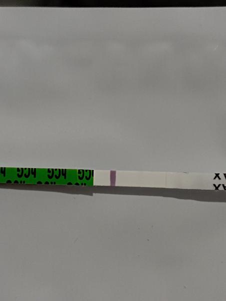 Pozitivní test na těhotenství? Sdílejte své myšlenky a zkušenosti